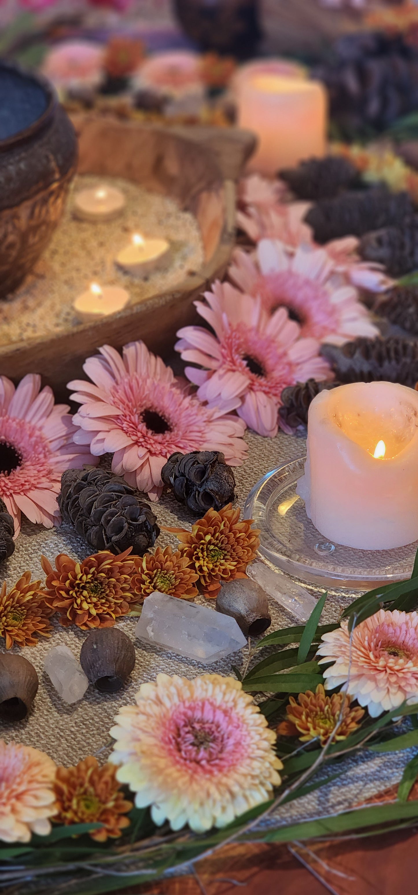 Spring Equinox Day Retreat - 21st September (Ourimbah & Bateau Bay NSW)